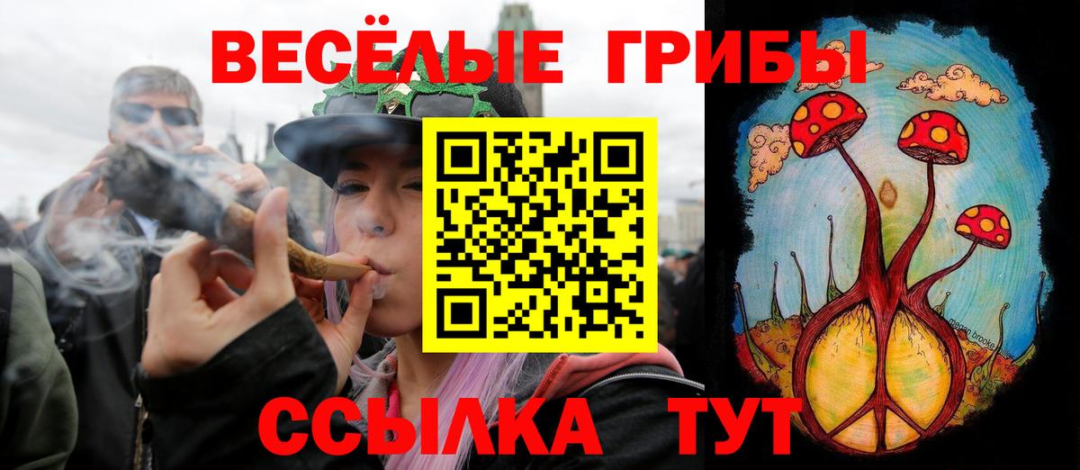 Галлюциногенные грибы Psilocybe  Вход с VPN  Псилоцибиновые грибы Psilocybe  Азнакаево 